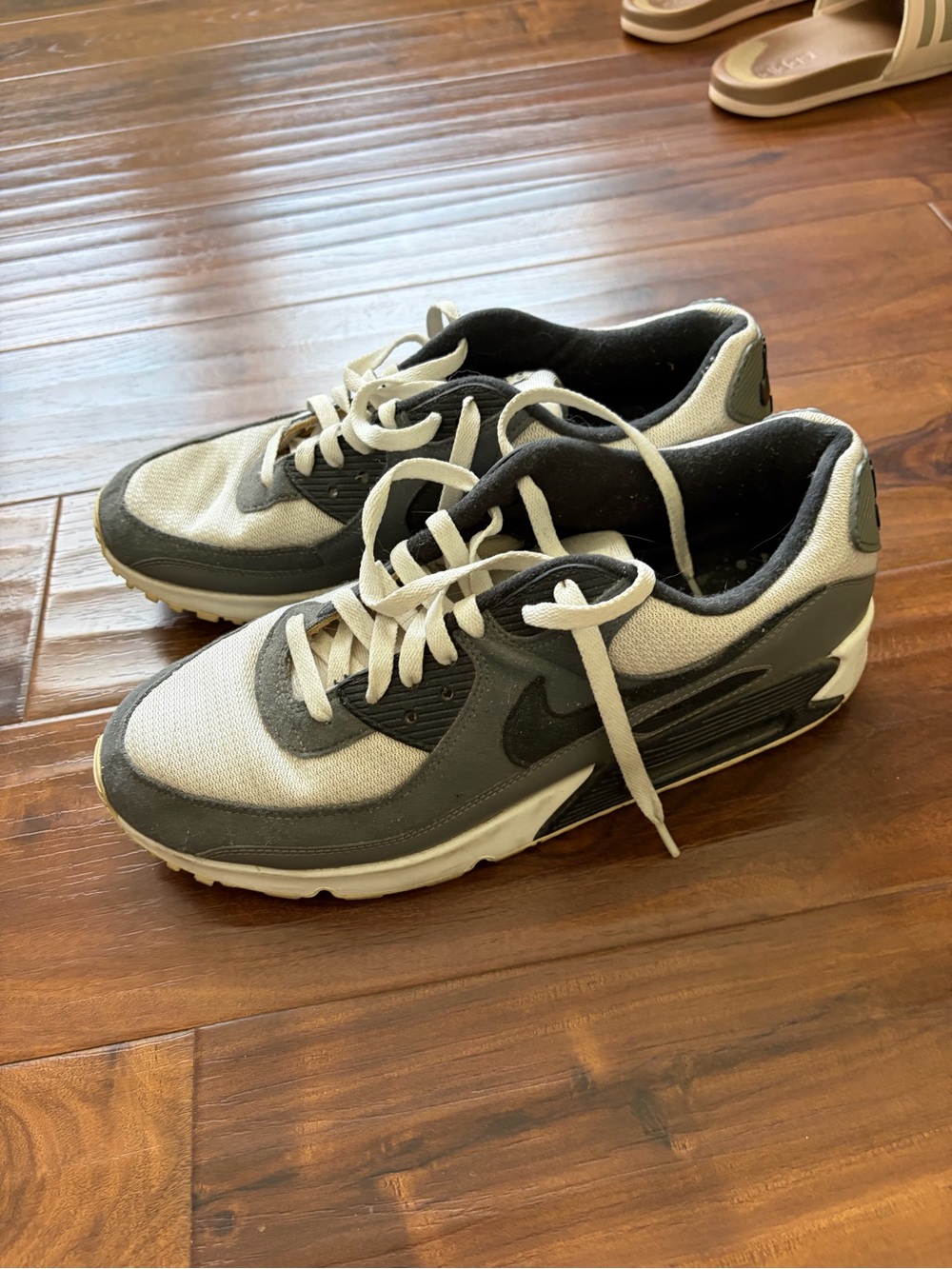 Nike Air Max Gray and White